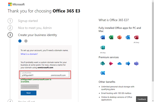 Set up email through Microsoft 365 (New domain) 